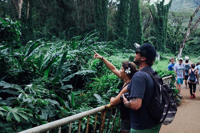 Manoa Waterfall Hike with Waikiki Pickup & Healthy Lunch - Who this tour suits best (and who might want a different plan)