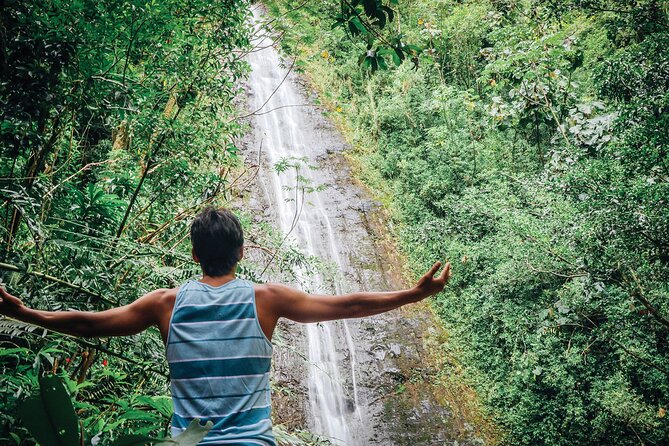 Manoa Waterfall Hike with Waikiki Pickup & Healthy Lunch - A guided walk through Manoa Valley’s rainforest textures