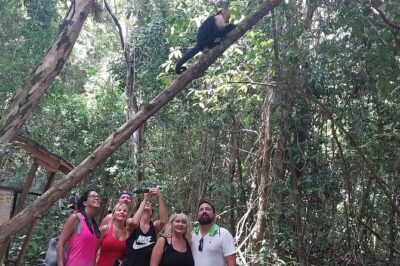 Manuel Antonio National Park guided tour - Meeting Point and Getting There Without Stress