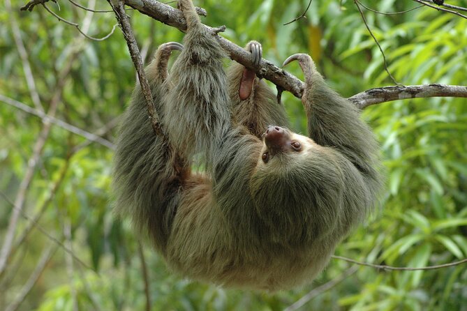 Manuel Antonio National Park Hiking Tour from Jacó - Key points worth knowing before you go