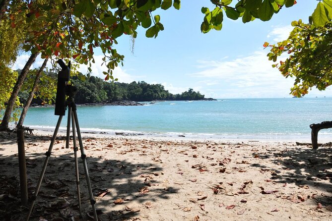Manuel Antonio National Park Hiking Tour from Jacó - Playa Manuel Antonio and the 3rd beach stop: swim, rest, repeat