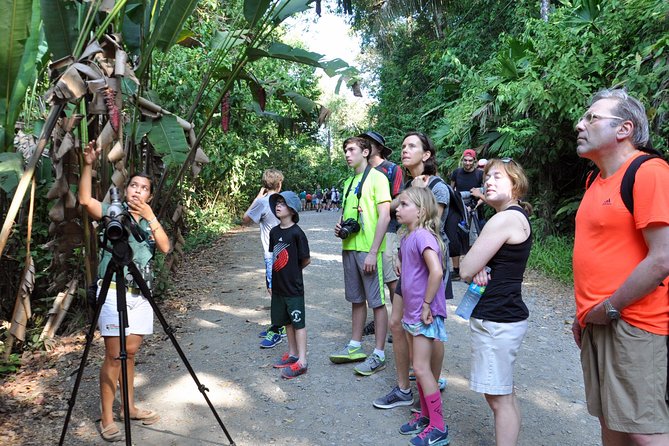 Manuel Antonio National Park Hiking Tour from Jacó - Price and value: why $135 can be a smart deal from Jaco