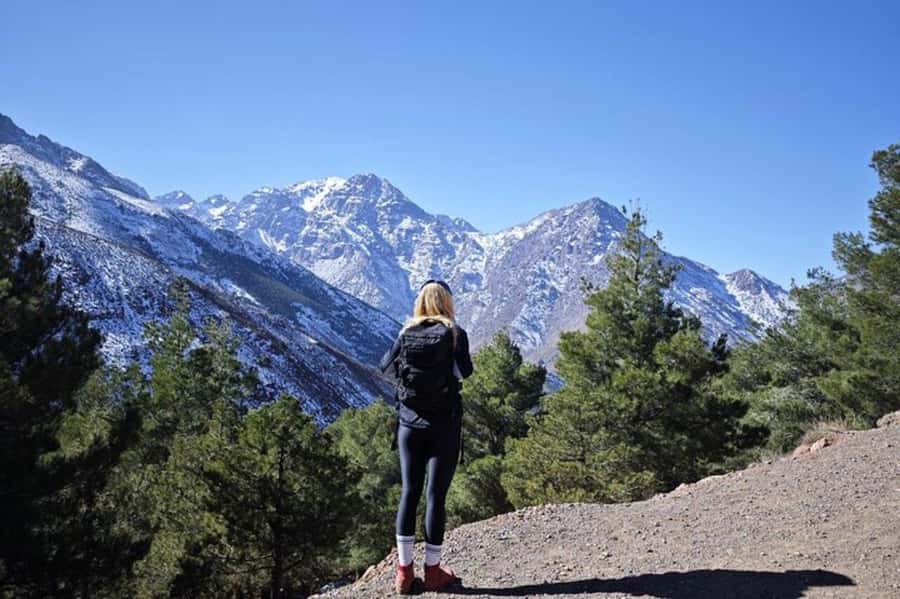 Marrakech: Atlas Mountains Summit Day Trek 2700m - Price and value: why $27 for a 2700m day works