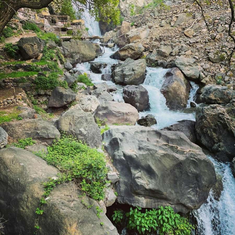 Marrakech: Atlas Mountains & Valleys Waterfall Hike w/ Lunch - Lunch at a Family Guesthouse: Tagine, Bread, and Mountain Calm