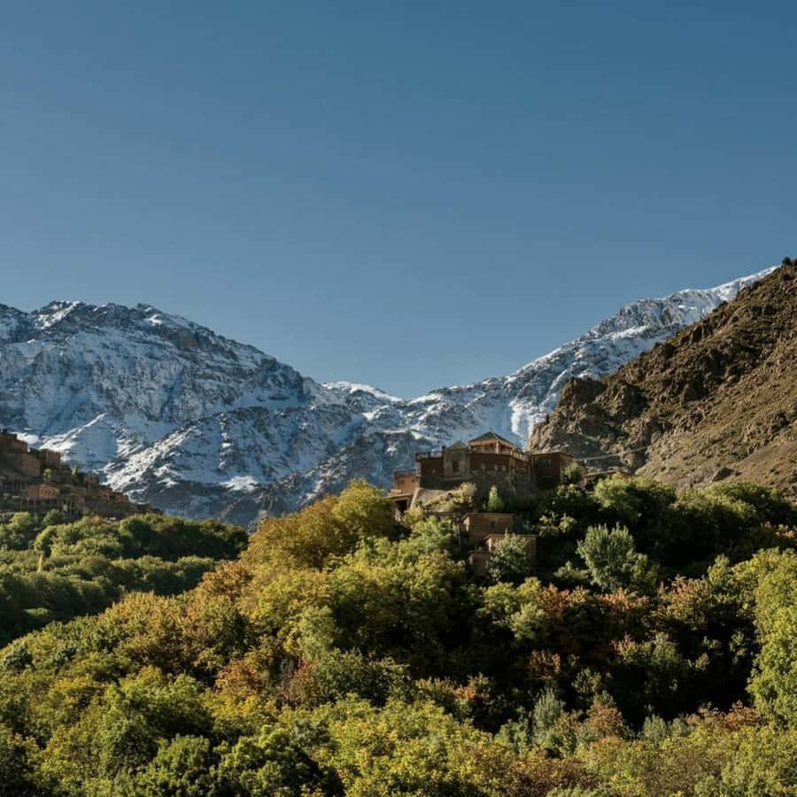 Marrakech: Atlas Mountains & Valleys Waterfall Hike w/ Lunch - Photo Stops, Tea Breaks, and the Right Amount of Shopping