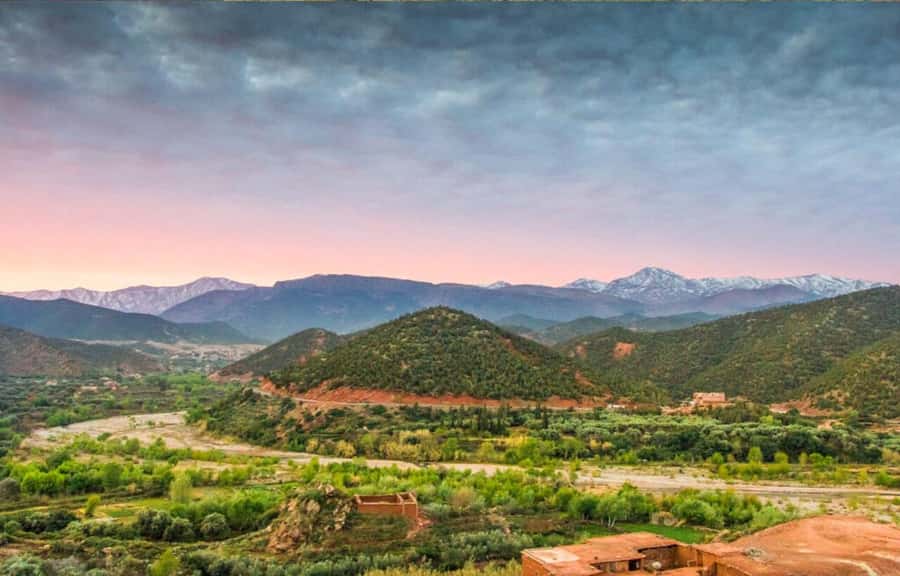 Marrakech: Ourika Valley Day Trip & Waterfalls Hike - Ourika Valley: The Best Parts You’ll Actually Feel
