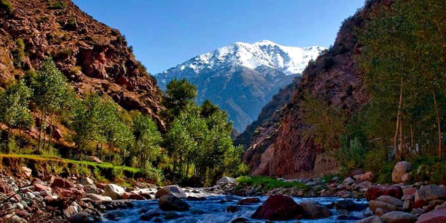 Marrakech: Ourika Valley Day Trip & Waterfalls Hike - Ourika Valley Stops: Views, Time to Wander, and Shopping Triggers