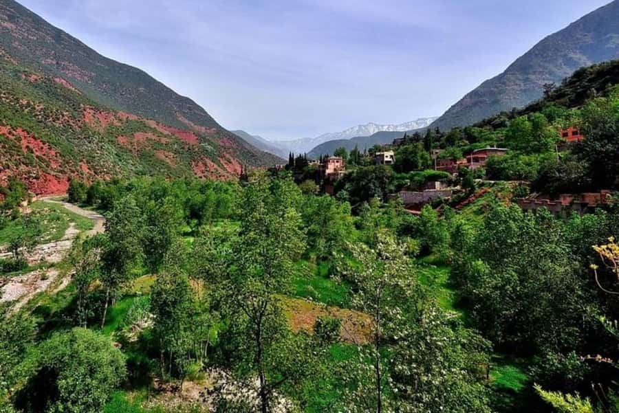 Marrakech: ourika valley lunch & guided hike to waterfalls - Sti Fatma village: market time, coffee breaks, and setting up for the hike