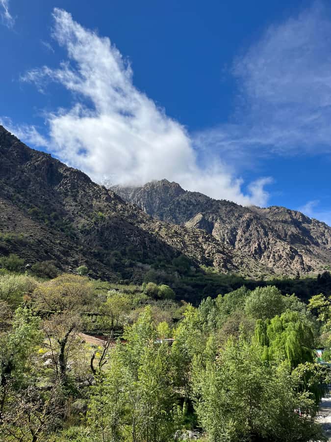 Marrakech: Ourika Valley Waterfalls Hike & Traditional Lunch - Berber Villages and Tea: The Human Side of Ourika