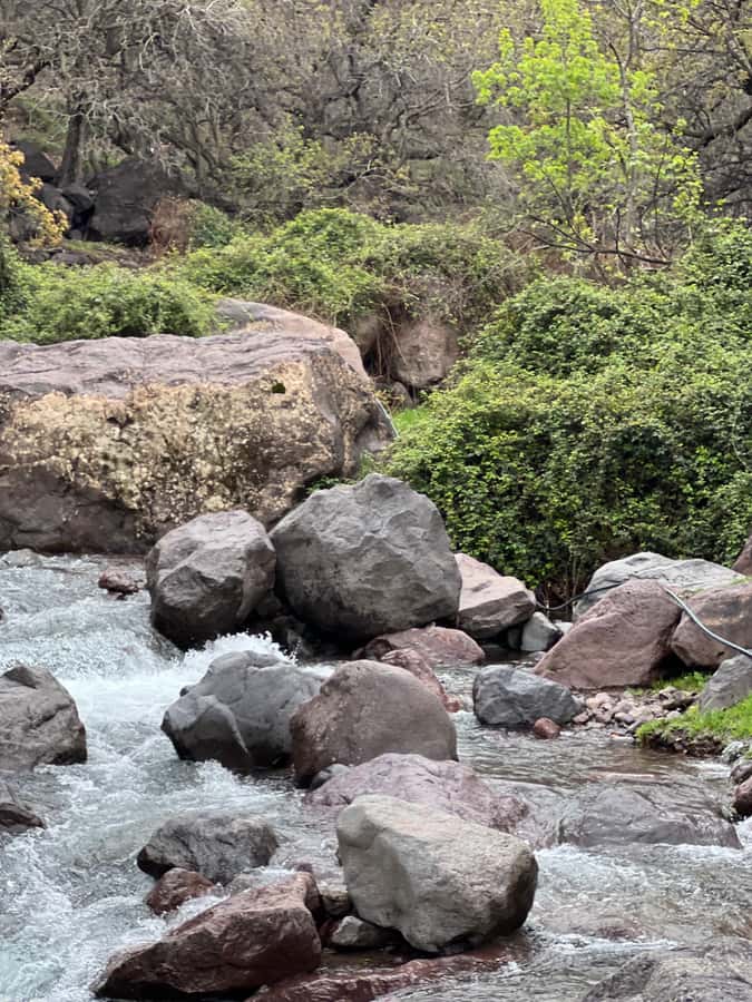 Marrakech: Ourika Valley Waterfalls Hike & Traditional Lunch - Riverside Moroccan Lunch and the Cooperative Visit