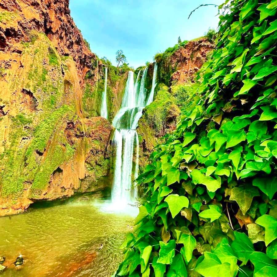 Marrakech: Ouzoud Waterfall, Guided Hike, Boat Ride & Lunch - Pace and Group Energy: What the “Shared Tour” Feels Like