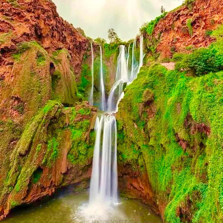 Marrakech: Ouzoud Waterfall, Guided Hike, Boat Ride & Lunch - The Guided Hike: Monkey Spotting and Viewpoints at the Right Pace