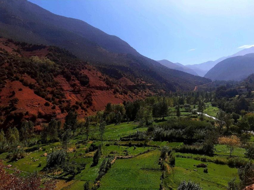 Marrakech: Ouzoud Waterfall, Guided Hike, Boat Ride & Lunch - What You’re Really Getting for $16: Value Breakdown That Makes Sense