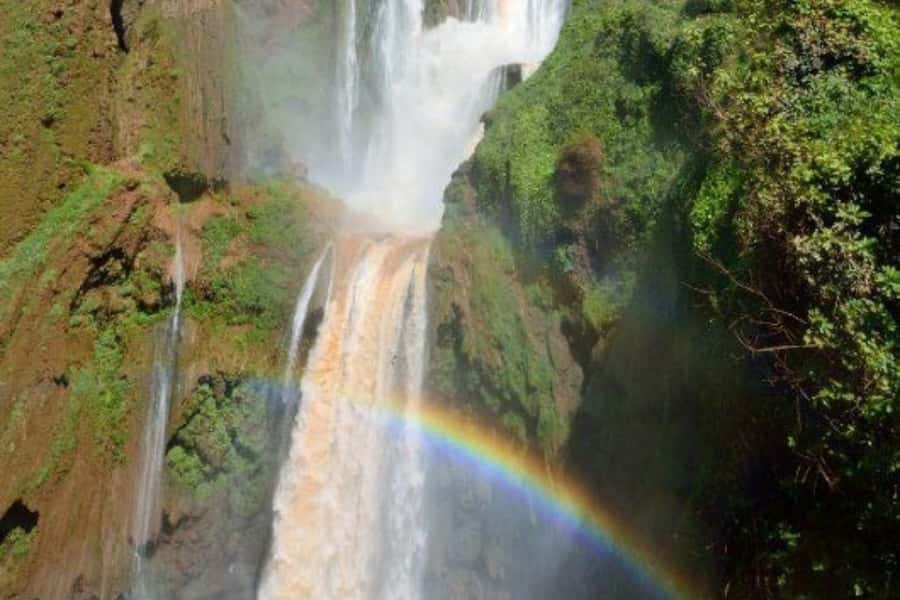 Marrakech: Ouzoud Waterfalls Trip, Guided Hike & Boat Option - Who should book this Ouzoud day trip?