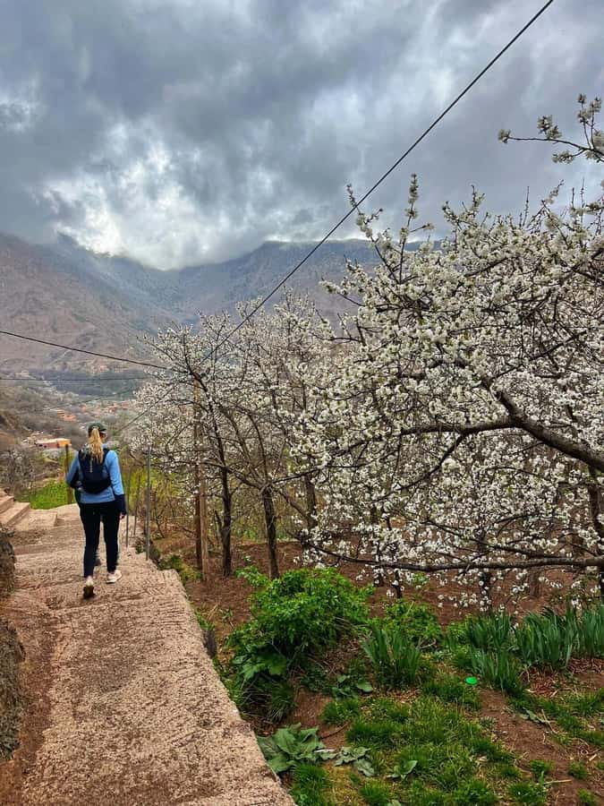 Marrakech: Tedli Summit Atlas Mountains Day Hike & Lunch - The hike up: Ait Souka, Tamatert, and the groves that break the climb