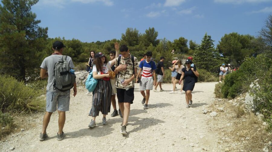 Marseille: Calanques National Park Guided Hike with Picnic - Price and value: $41 for a guided Calanques half-day