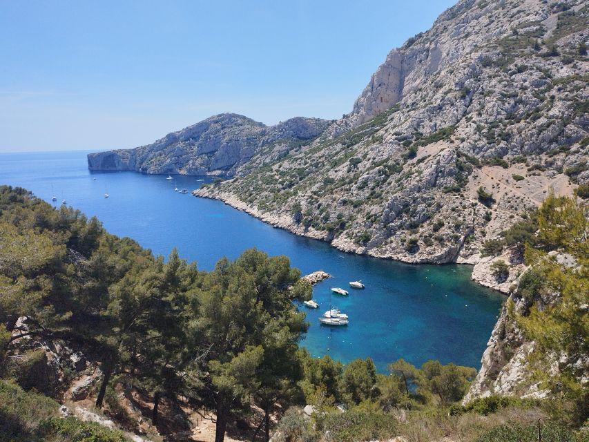 Marseille: Guided Hiking Calanques National Park from Luminy - The Best Timing: Photos and Scenic Stops Without the Rush