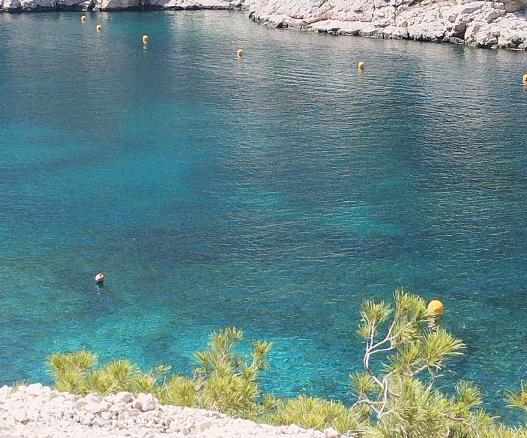 Marseille: Guided Hiking Calanques National Park from Luminy - Who This 4-Hour Hike Is Best For