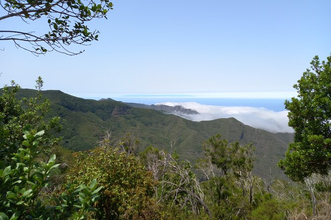 Masca from above - Masca From Above in Teno: the day’s real payoff