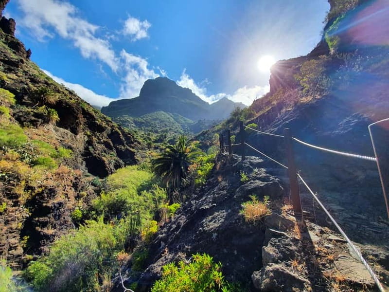 Masca Gorge Guided Hike - The full 6-hour flow: Santiago del Teide to Los Gigantes by foot and boat