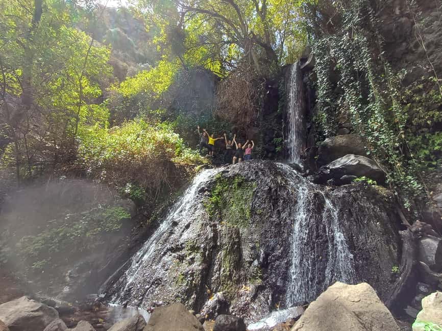 Maspalomas: Barranco de los Cernicalos Rainforest Hike - Key highlights worth planning for