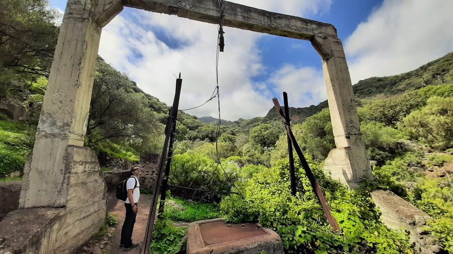 Maspalomas: Barranco de los Cernicalos Rainforest Hike - Route basics: 8–9 km, 300 m unevenness, and how to pace it