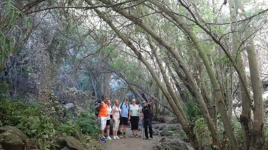 Maspalomas: Barranco de los Cernicalos Rainforest Hike - Included food, snacks, and the one thing they do not provide: water