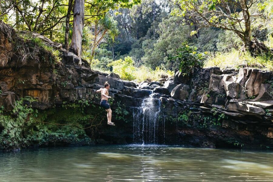Maui: Rainforest Waterfalls Guided Hike with Picnic Lunch - 5 highlights that make this Maui hike worth it