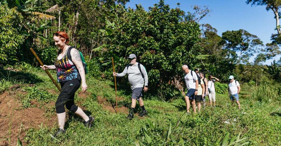 Maui: Rainforest Waterfalls Guided Hike with Picnic Lunch - Rainforest Waterfalls in East Maui: what you’ll actually do