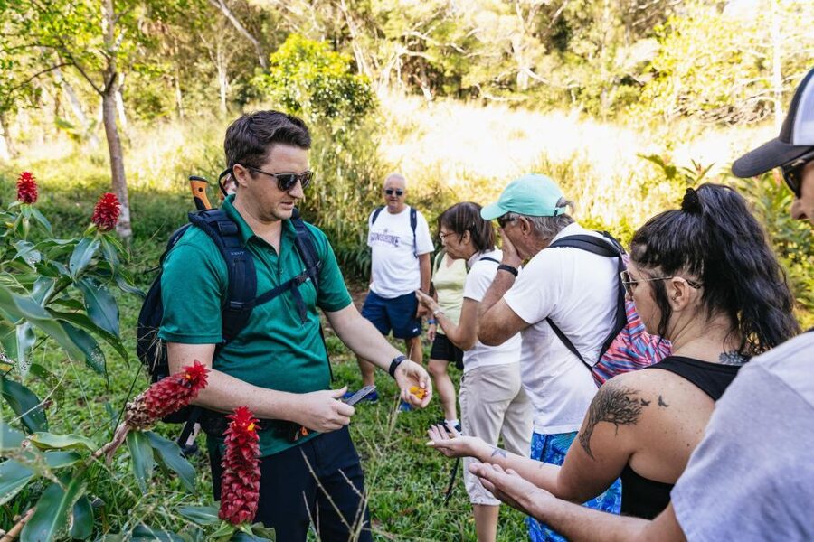 Maui: Rainforest Waterfalls Guided Hike with Picnic Lunch - Picnic lunch by the falls: why the food timing is smart