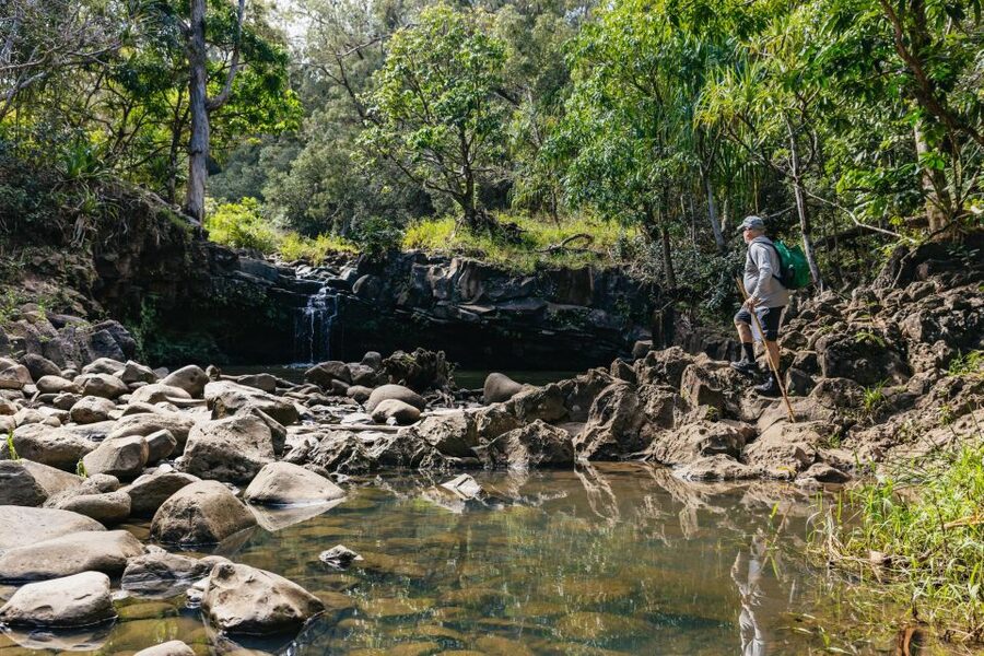 Maui: Rainforest Waterfalls Guided Hike with Picnic Lunch - Meeting in Kahului (and pickup in Kihei/Wailea): how to avoid stress