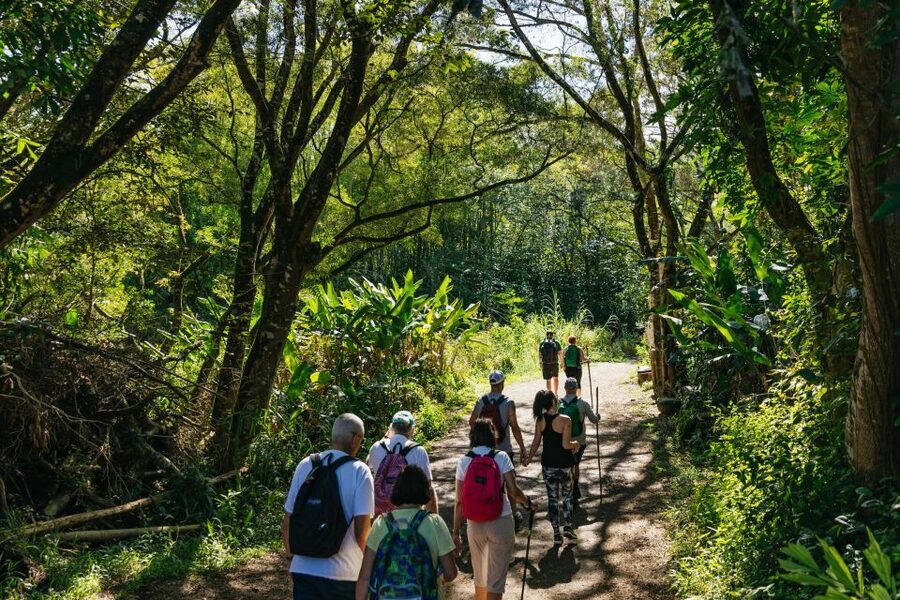 Maui: Rainforest Waterfalls Guided Hike with Picnic Lunch - What to pack (seriously): shoes, swim gear, bugs, and a towel