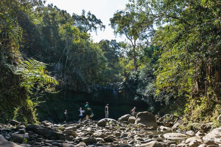 Maui: Rainforest Waterfalls Guided Hike with Picnic Lunch - Who this is best for (and who should sit this one out)