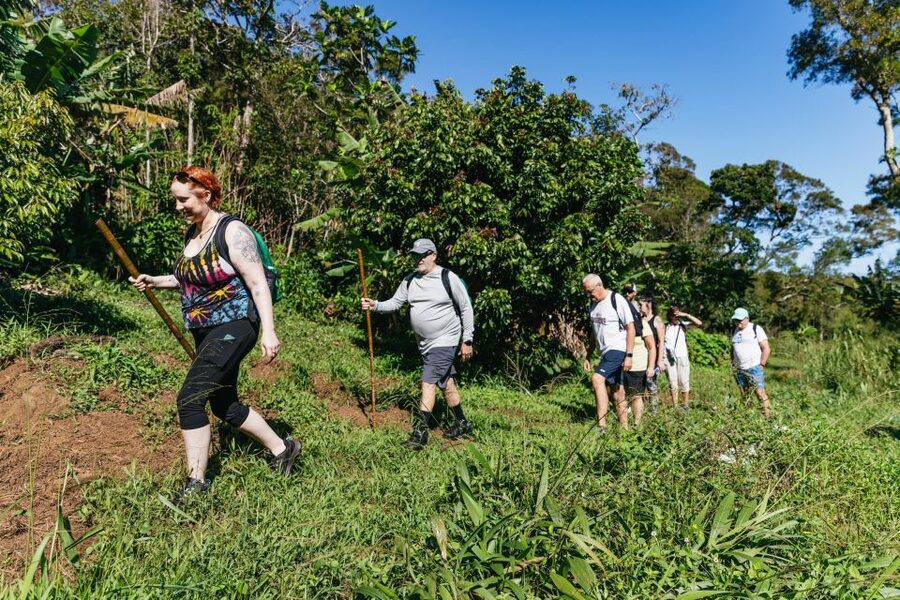 Maui: Rainforest Waterfalls Guided Hike with Picnic Lunch - Price and value: is $187 for 5 hours fair?