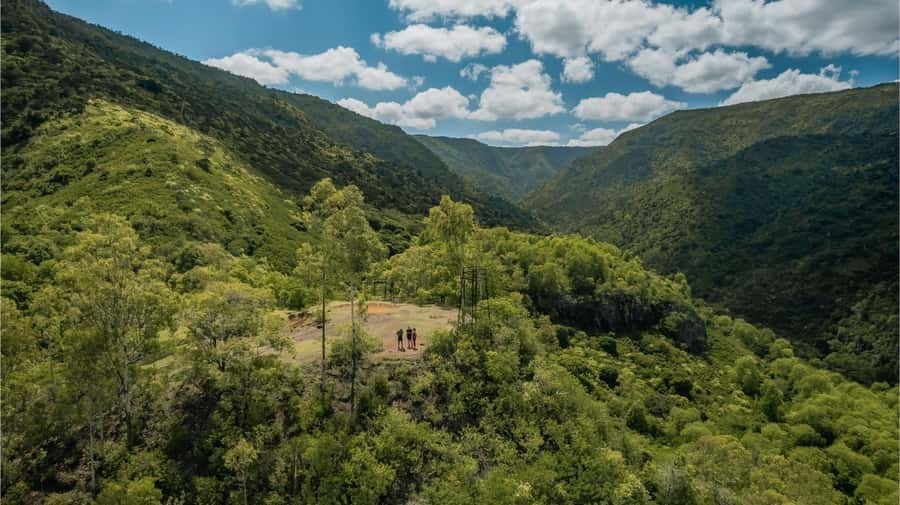 Mauritius: Black River Gorges National Park 3-Hour Hike - Black River Gorges in Three Hours: A hike with real payoff