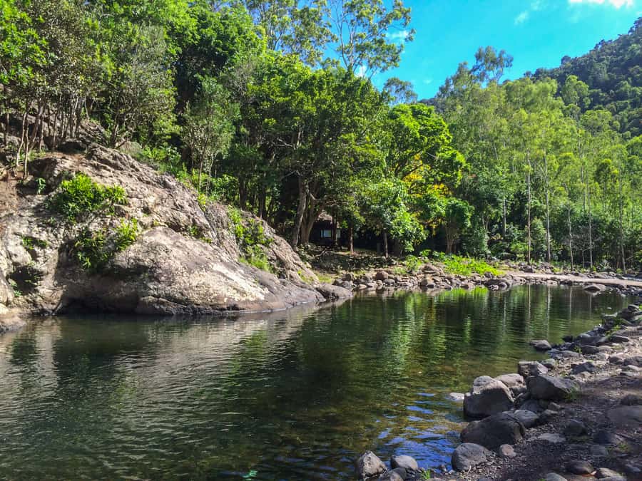 Mauritius: Black River Gorges National Park 3-Hour Hike - The end-of-tour river swim: simple gear, big comfort