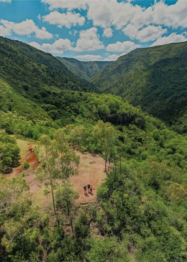 Mauritius: Black River Gorges National Park 3-Hour Hike - What’s included (and why that affects value)