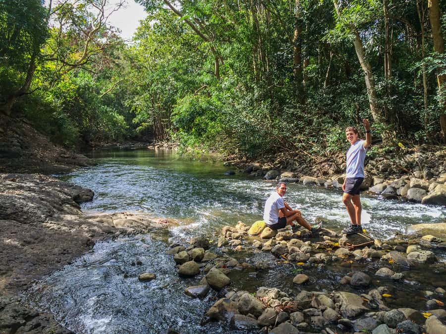 Mauritius: Black River Gorges National Park 3-Hour Hike - The guide can make or break it, and here’s what you’ll want