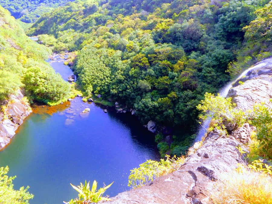 Mauritius: Guided Tamarind Falls Hike with Hotel Transfers - Key takeaways