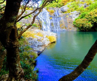 Mauritius: Guided Tamarind Falls Hike with Hotel Transfers - Entering the hike: forest, rivers, and the first cascades