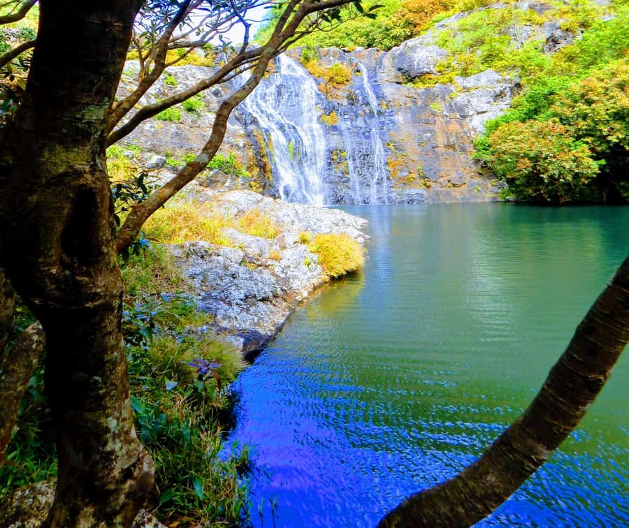 Mauritius: Guided Tamarind Falls Hike with Hotel Transfers - Entering the hike: forest, rivers, and the first cascades
