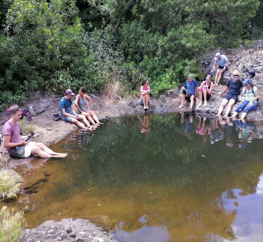 Mauritius: Tamarind Falls Guided Hike with Swim and Lunch - Price and value: what $87 buys you