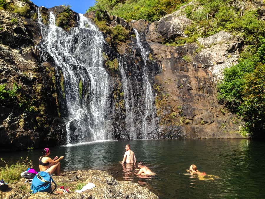 Mauritius: Tamarind Falls Highlights 3-Hour Hiking Trip - The rainforest walk: what your guide adds beyond the scenery
