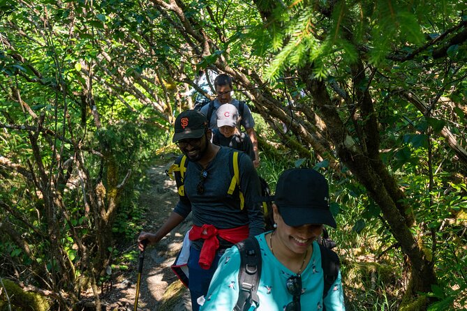 Mendenhall Glacier Guided Hike Juneau - Price and value: what $225 buys you in Juneau time and effort