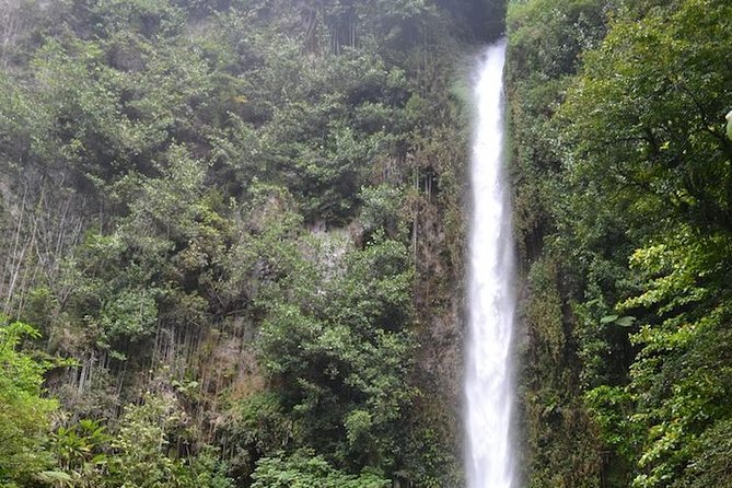 Middleham Falls Hike and Ti'tou Gorge Half-Day Excursion - Key highlights worth waking up for