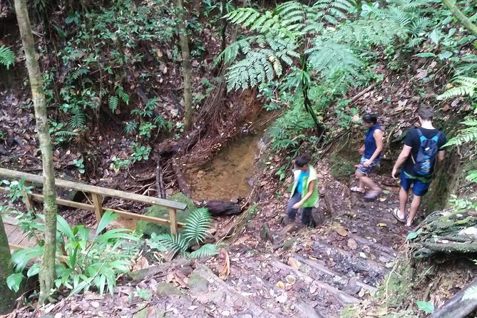 Middleham Falls Hike and Ti'tou Gorge Half-Day Excursion - Price and what you truly get for $130