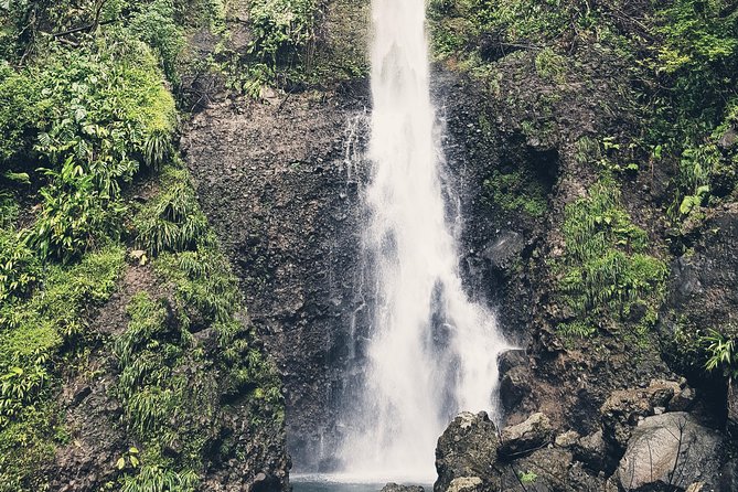 Middleham Falls Hike and Ti'tou Gorge Half-Day Excursion - What to pack and how to avoid the common mistakes