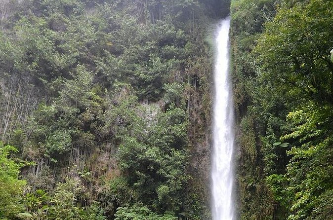 Middleham Falls Hike and Ti'tou Gorge Half-Day Excursion - Who this half-day excursion suits best