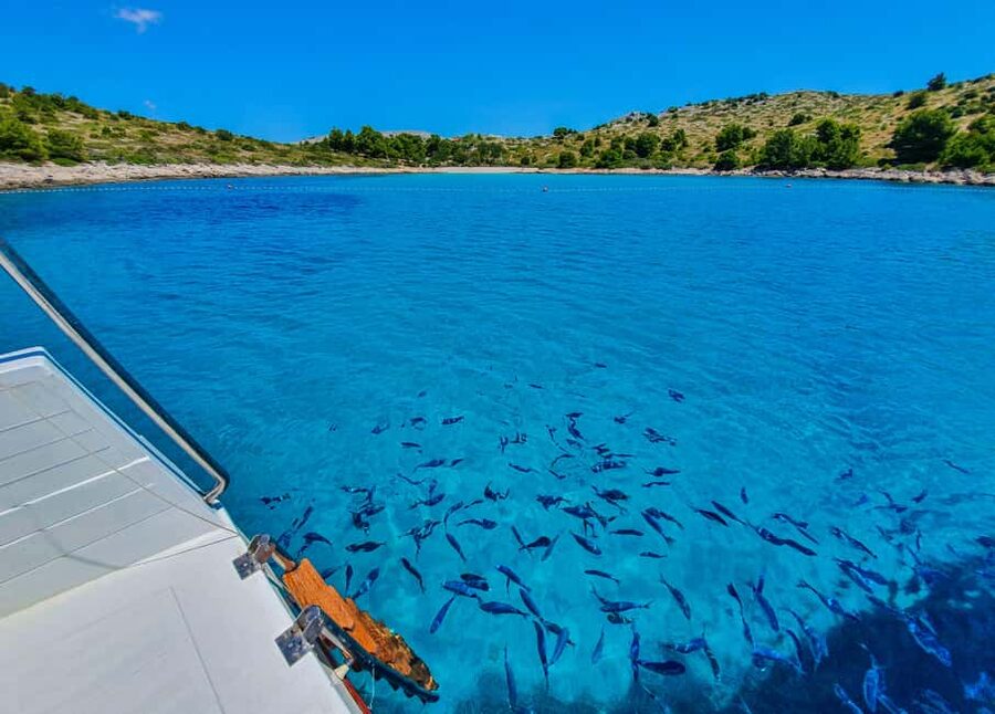Mikado Kornati Excursion with snorkeling and hiking stops - Lojena Beach on Levrnaka: Sandy Water Time and Snorkeling With Fish