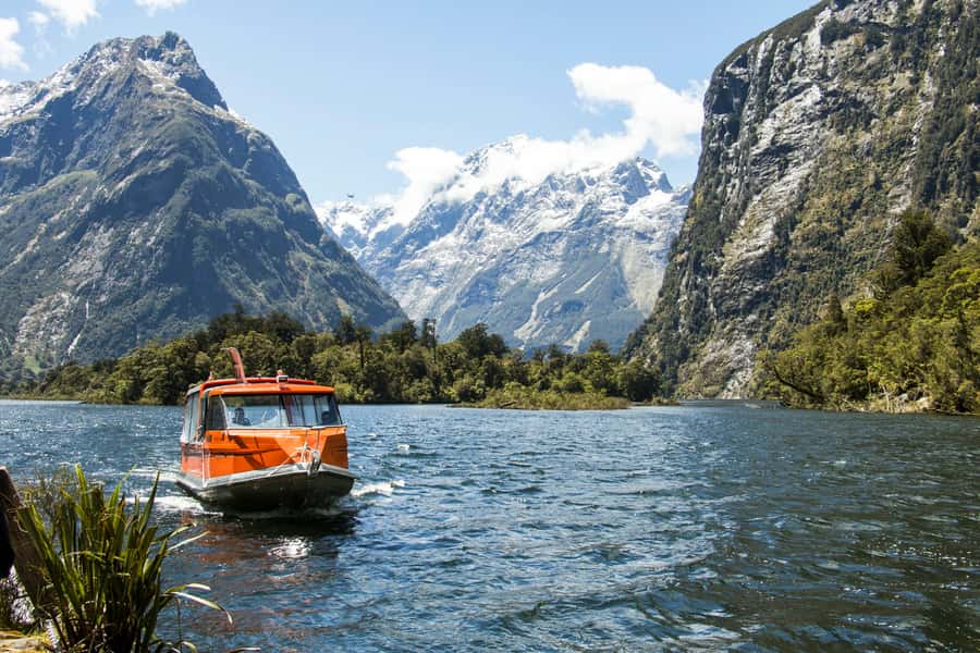 Milford Track: Full Day Guided Hike and Nature Cruise - Key highlights worth planning for